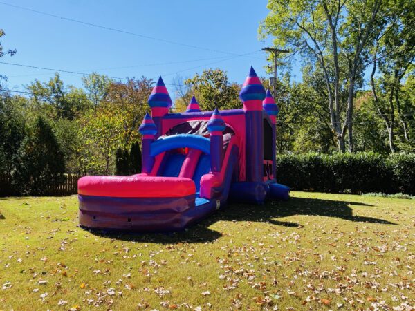 front of inflatable dual lane pink castle slide Combo